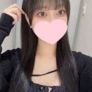 ヒメ日記 2025/05/29 13:46 投稿 コナツ エピソード(品川)