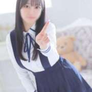 ヒメ日記 2025/06/06 18:16 投稿 コナツ エピソード(品川)