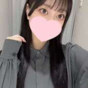 ヒメ日記 2025/06/10 12:46 投稿 コナツ エピソード(品川)