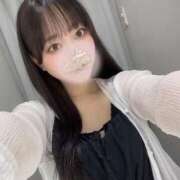 ヒメ日記 2025/06/12 08:31 投稿 コナツ エピソード(品川)