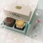 ヒメ日記 2025/06/12 15:46 投稿 コナツ エピソード(品川)