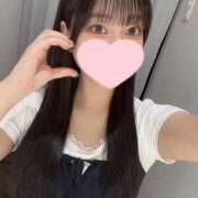 ヒメ日記 2025/06/24 22:31 投稿 コナツ エピソード(品川)