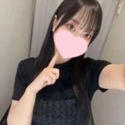 ヒメ日記 2025/06/28 20:16 投稿 コナツ エピソード(品川)