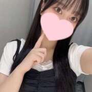 ヒメ日記 2025/06/30 18:31 投稿 コナツ エピソード(品川)