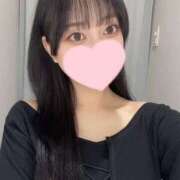 ヒメ日記 2025/07/02 16:01 投稿 コナツ エピソード(品川)