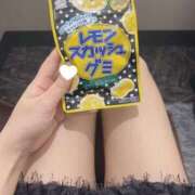 ヒメ日記 2025/07/02 19:46 投稿 コナツ エピソード(品川)