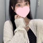 ヒメ日記 2025/07/09 12:46 投稿 コナツ エピソード(品川)