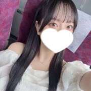 ヒメ日記 2025/07/09 13:31 投稿 コナツ エピソード(品川)