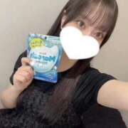 ヒメ日記 2025/07/16 20:31 投稿 コナツ エピソード(品川)