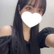 ヒメ日記 2025/07/18 18:31 投稿 コナツ エピソード(品川)