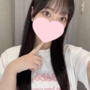 ヒメ日記 2025/07/28 22:01 投稿 コナツ エピソード(品川)