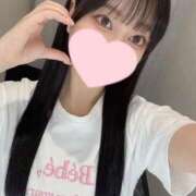 ヒメ日記 2025/07/28 22:46 投稿 コナツ エピソード(品川)