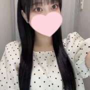 ヒメ日記 2025/07/29 14:46 投稿 コナツ エピソード(品川)