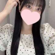 ヒメ日記 2025/07/29 16:46 投稿 コナツ エピソード(品川)