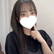 ヒメ日記 2025/07/31 18:16 投稿 コナツ エピソード(品川)