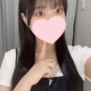 ヒメ日記 2025/08/06 16:02 投稿 コナツ エピソード(品川)