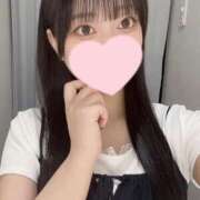 ヒメ日記 2025/08/06 16:46 投稿 コナツ エピソード(品川)