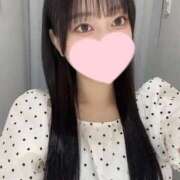 ヒメ日記 2025/08/06 20:31 投稿 コナツ エピソード(品川)