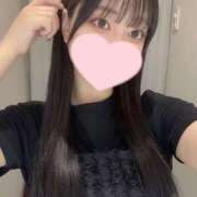 ヒメ日記 2025/08/08 12:16 投稿 コナツ エピソード(品川)