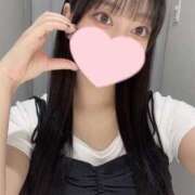 ヒメ日記 2025/08/09 13:31 投稿 コナツ エピソード(品川)