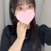 ヒメ日記 2025/08/13 18:46 投稿 コナツ エピソード(品川)