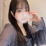 ヒメ日記 2025/08/20 08:16 投稿 コナツ エピソード(品川)