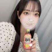 ヒメ日記 2025/08/28 08:01 投稿 コナツ エピソード(品川)