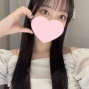 ヒメ日記 2025/08/28 14:16 投稿 コナツ エピソード(品川)