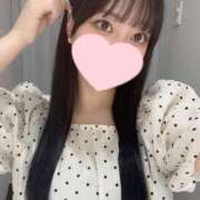 ヒメ日記 2025/08/30 23:46 投稿 コナツ エピソード(品川)