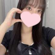 ヒメ日記 2025/09/23 20:01 投稿 コナツ エピソード(品川)