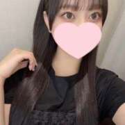 ヒメ日記 2025/09/23 23:01 投稿 コナツ エピソード(品川)