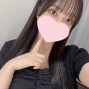 ヒメ日記 2025/09/25 10:16 投稿 コナツ エピソード(品川)