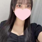 ヒメ日記 2025/09/25 12:16 投稿 コナツ エピソード(品川)