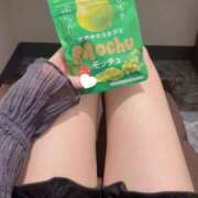 ヒメ日記 2025/10/03 00:01 投稿 コナツ エピソード(品川)