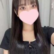 ヒメ日記 2025/10/07 22:31 投稿 コナツ エピソード(品川)