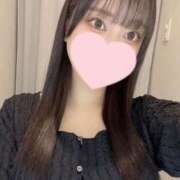 ヒメ日記 2025/11/22 22:31 投稿 コナツ エピソード(品川)