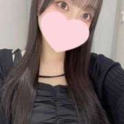 ヒメ日記 2025/11/27 23:01 投稿 コナツ エピソード(品川)