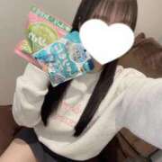 ヒメ日記 2025/11/28 17:16 投稿 コナツ エピソード(品川)