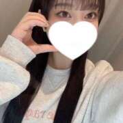 ヒメ日記 2025/12/03 18:46 投稿 コナツ エピソード(品川)