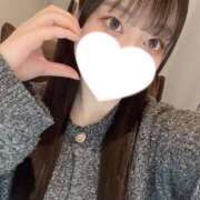 コナツ ?? エピソード(品川)