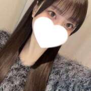 ヒメ日記 2025/12/19 18:46 投稿 コナツ エピソード(品川)