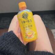 ヒメ日記 2026/02/18 23:31 投稿 コナツ エピソード(品川)