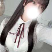 ヒメ日記 2026/02/25 19:16 投稿 コナツ エピソード(品川)