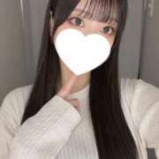 ヒメ日記 2026/04/01 21:01 投稿 コナツ エピソード(品川)