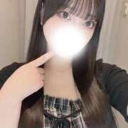ヒメ日記 2026/08/03 20:31 投稿 コナツ エピソード(品川)