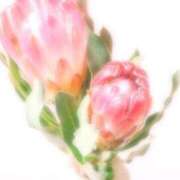 ヒメ日記 2025/08/06 15:07 投稿 中山【人妻コース】 久留米デリヘル358