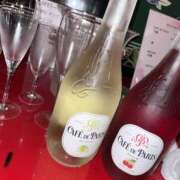 ヒメ日記 2025/06/26 13:51 投稿 りのん おいらん(池袋)