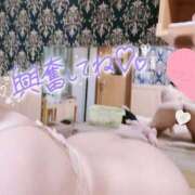 ヒメ日記 2025/01/24 08:17 投稿 すず ジャパンクラブ富士