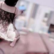 ヒメ日記 2025/10/28 16:02 投稿 すず ジャパンクラブ富士