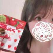 ヒメ日記 2025/11/13 12:13 投稿 すず ジャパンクラブ富士